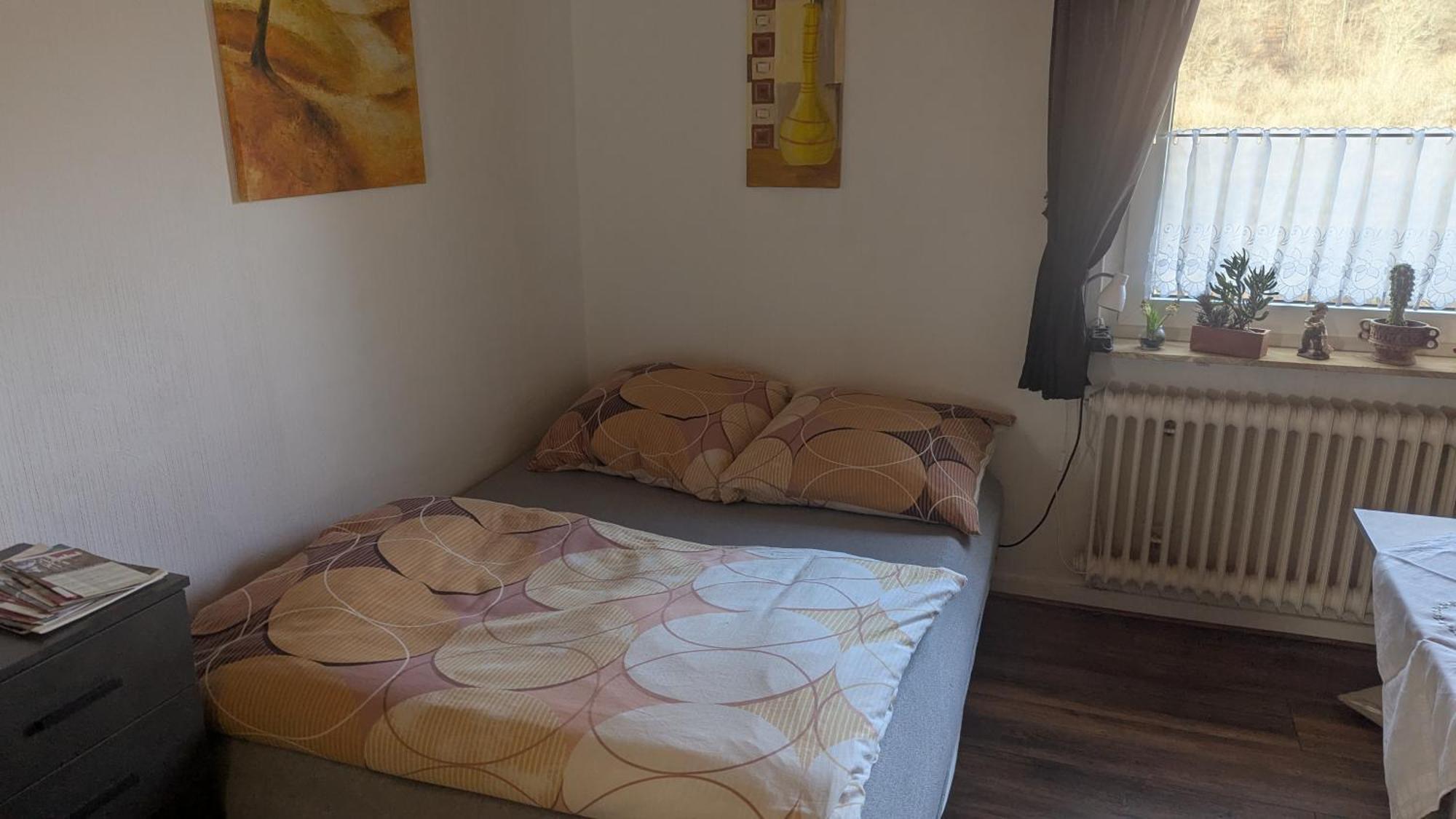 Ferienwohnung Mit Terrasse Fuer 1-4 Personen Altena Extérieur photo